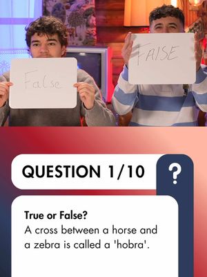 Who is smarter, Arthur or Chip? Let's find out! Even one or two drinks before driving could put you over the limit - and could lose you your licence and the freedom that comes with it. Don't risk it all for a few pints. THINK! #DrinkaLittleRiskaLot #ad