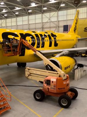 We put a sweater on a plane and it is really big.