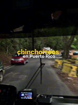 No es Navidad Boricua si no te fuiste a chinchorrear❤️🎄 aqui una lista de mis spots favoritos:  -Naturola (TOP FAVORITE) -El Refugio (el MAS lindo) -La Bibliotek (el MEJOR servicio) -Casita Guavate (a MUST cuando pasas por Cayey)  -Papo Guacaro's Place (MANDATORY first stop cuando subes a Ciales) -La Cueva del Tibu (los baños mas lindos) -Finca Culturas (el view mas brutal y el espacio mas acogedor) 