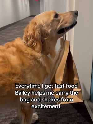 Bailey deserves a treat
