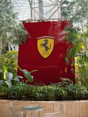 Taste the Winterfest flavours, #FerrariWorldYasIsland way!! 😍🎢 #InAbuDhabi   تذوّق نكهات مهرجان_الشتاء بأسلوب #عالم_فيراري_جزيرة_ياس 😍🎢 #في_أبوظبي