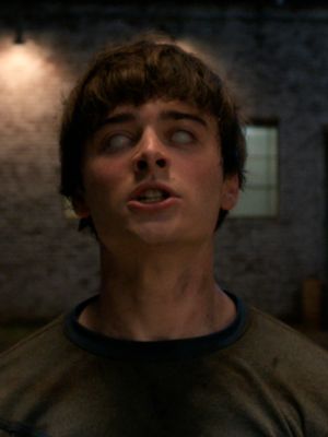 A RAPOSA. FOI. APANHADA. #StrangerThings #StrangerThings5 #netflix #netflixpt #fyp