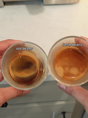 For the love of God please do not use old beans in your new espresso machine!! 9/10 times you won’t find fresh beans at a grocery store or Amazon. Go to a local coffee roaster or sign up for an online subscription! #ninjaluxecafe #coffeehack #espressomachine  