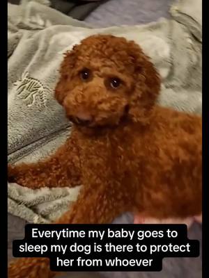 👏😳Can’t believe the Dog protected her through the end! #RoadTo19M #Pubity  (Via Collab)