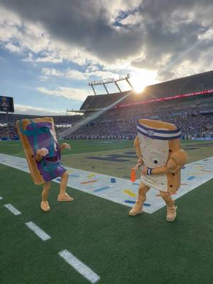 is this peak mascot tomfoolery  #poptarts #poptartsbowl #ptbowl #mascots #FoodTok 