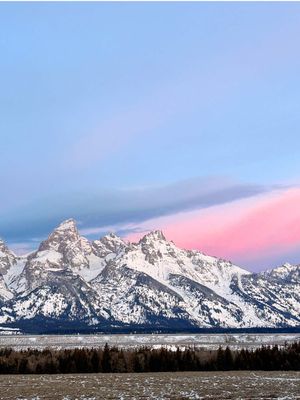 We found all the Moose in the Grand Teton National Park! #jacksonholewyoming #grandtetonnationalpark #moose #grandtetons 