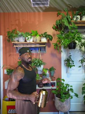 Sh*t I’m not doing as a plant parent in 2026. Root rot doesn’t have a comeback tour. Save this before you love another plant to death 🪴 #PlantParent #PlantCareTips #plantsoftiktok 