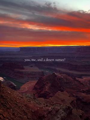 Nothing I love more than a sunset in the desert 🏜️