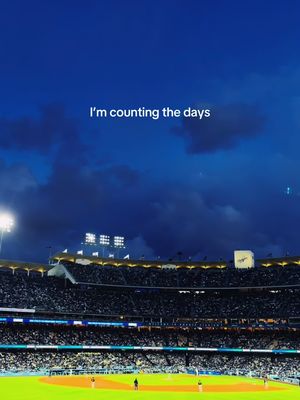88 days until opening day💙 #fyp #countingthedays #daisybieber #missyou #softtiktok