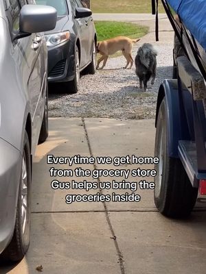 Such a good boy 