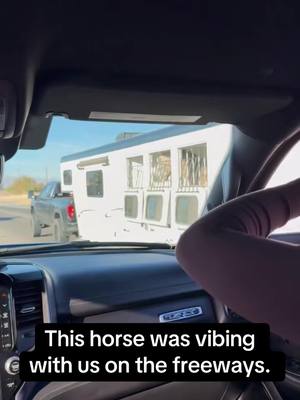 Horse Passed the vibe check😂 #RoadTo19M #Pubity  (denisevalenxuela via collab)