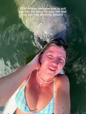 Baby manatee attack was not on my bingo card lol 