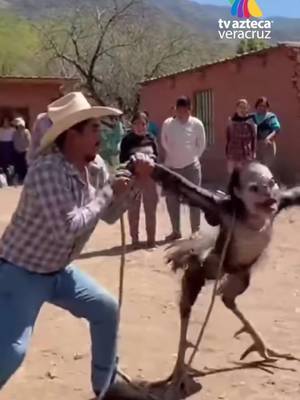 BREAKING NEWS! They caught La Lechusa! 💃🏻🦉