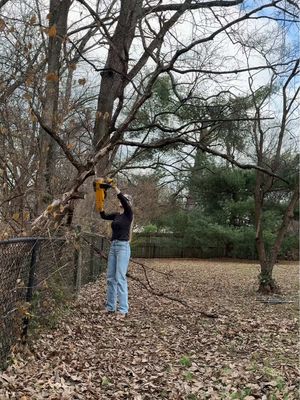 Is this what you would do or do you have any advice? Love this @DEWALT chainsaw! Super easy to use and really gets the job done. 💪🏼 @Lowe’s 