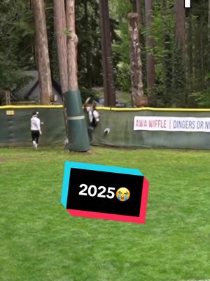 What’s in Store For 2026?🤔 #dingersornothing #wiffleball #baseball #foryou 