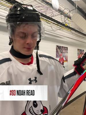 Big fans of these New Years Resolutions 🤩 #NiagaraIceDogs #OHL #hockeytiktoks 
