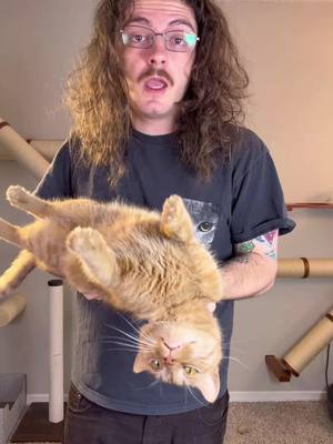 Do your cat and yourself a favor and get them this toy! #catsoftiktok #cat #catlovers #viralcats #funnycat #orangecatbehavior #orangecat 