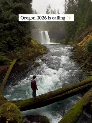 🌲 Send this to someone planning a 2026 Oregon trip! If you’re looking for your next state to explore we highly recommend Oregon. This is one of the most beautiful states in the entire US and needs to be on everyone’s bucket list! Here’s the only guide you need to visiting.  📝 30 places to see in Oregon by region 🌊 Oregon Coast Cannon Beach and Haystack Rock Ecola State Park Oswald West State Park Tillamook Creamery Cape Kiwanda Samuel H Boardman Scenic Corridor 🌲 North Coast to Willamette Valley Astoria Column Columbia River Gorge scenic drive Multnomah Falls Latourell Falls Hood River Silver Falls State Park 🏔️ Mount Hood and Central Oregon Trillium Lake Timberline Lodge Mount Hood Meadows views Smith Rock State Park Bend Old Mill District river trail Tumalo Falls 🌋 Crater Lake and Southern Oregon Crater Lake National Park Rim Drive viewpoints Cleetwood Cove Trail Toketee Falls Umpqua Hot Springs Rogue River and Hellgate Jetboat area 🌿 Oregon Rainforests and Wild Rivers Cascadia State Park McKenzie River Trail Blue Pool Tamolitch Falls Proxy Falls Willamette National Forest scenic stops Opal Creek Wilderness 🏜️ Eastern Oregon and High Desert Painted Hills Smith Rock nearby viewpoints Alvord Desert Steens Mountain scenic drive Wallowa Lake Joseph Oregon and the Wallowas ✈️ Follow along for more bucket list trips #oregon #traveloregon #oregonroadtrip #pnw #waterfalls