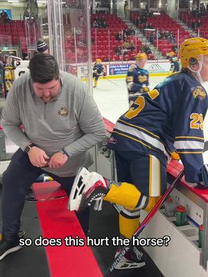 does it hurt? #ErieOtters #eriepa #hockey #edit #horse 