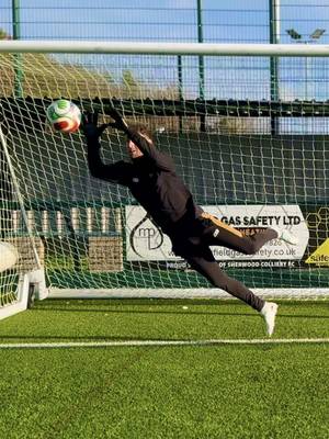 3 dives, 3 techniques, which one do you want breaking down? 🤔 #goalkeeper #goalkeepertraining #goalkeepers  @Coach Loach 