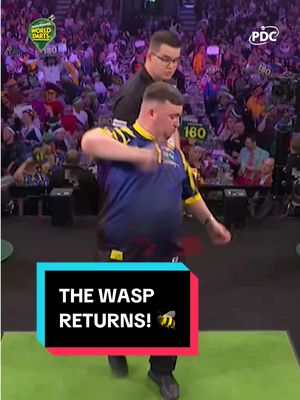 The Wasp… It’s BACK! 🐝