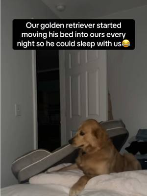 🥺This is so adorable, it’s amazing how our pets show love to us… #RoadTo19M #Pubity  (Sarah Pressley via ViralHog)