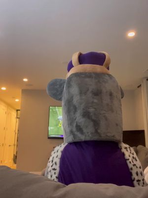 What to do with 1700 dollars worth of mascot costumes that arrived too late