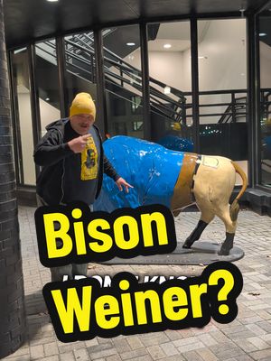 What the heck?!  I'm in downtown Peoria, Illinois and you're not going to believe what I just saw. #comedy #sammiller #WeDoRecover #wildlifelover #pants 