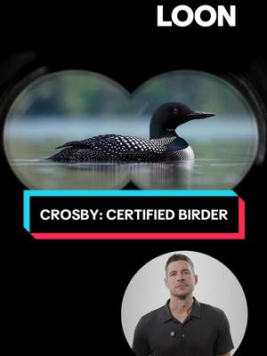 We set the birdwatching record straight with Sidney Crosby and Kevin Hayes, but still keeping our eyes peeled for those No. 87 binoculars this #NationalBirdDay 👀🐦 #HockeyTikTok #NHL #SidneyCrosby 