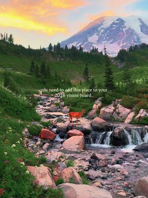 welcome to paradise 🏔️✨ #mtrainier 