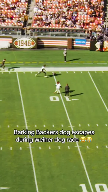 want a chance to see your dog on the field in game? join the Barking Backers and get exclusive offers! #dog #funny #dogsoftiktok 