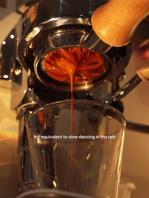The espresso extraction I dream about 💭🌙 #espresso #espressomachine #lelit 
