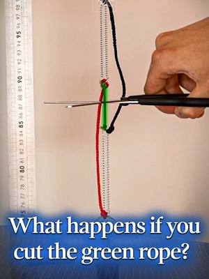 What will happen to the weight if you cut the green rope?