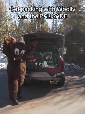 Skis, boards, boots, bags… and still room for Woolly and your crew for a @Mammoth Mountain adventure in the PALISADE XRT PRO.  Raise your hand if you’re heading up to Mammoth this season 🙋⬇️ #Hyundai #Mammoth #RoadTrip #SnowAdventure