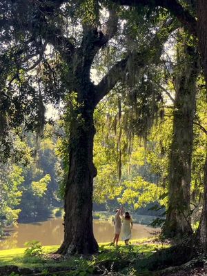 The USA’s most underrated road trip 🚘 @Visit the USA  When Harry first put this road trip idea to me, I’ll admit I wasn’t totally convinced. But wow these southern states truly blew us away, underrated in all the best ways… From kayaking with river manatee’s and following the Delta Blues trail, to exploring quaint country towns and spotting dolphins in the Gulf. Here’s the highlights of our 2 week road trip from Miami to New Orleans:  🌺 Miami, Florida  🐊The Florida Springs (Silver Springs, Rainbow Springs, Ichtucknee Springs)  🏙️ Birmingham, Alabama  🎸 Memphis, Tennessee  🎶 Mississippi Delta (Cleveland, Rosedale & Great River Road State Park)  🌳 Jackson, Mississippi  💐 Natchez, Mississippi  🐬 Gulfport, Mississippi  🌆 New Orleans, Louisiana  Which USA road trip is on your bucket list? 📌 Make sure you SAVE this for travel inspiration and send it to your road trip partner.  #ad #AmericatheBeautiful #usatravel #usaroadtrip #travelguide 