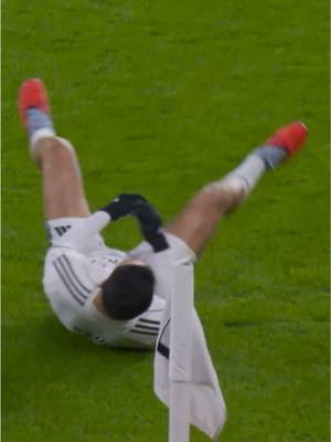 We love Raúl 😅🤍 #fulham #chelsea #PremierLeague 