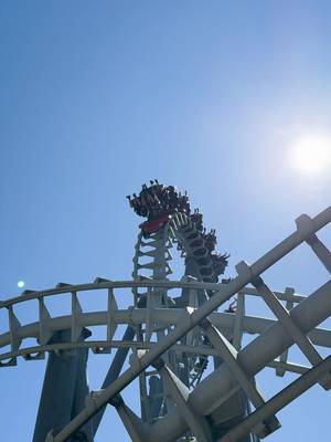 Coasters are always living rent-free in our heads. 🎢🧠 #CanadasWonderland #CoasterTok #RollerCoaster #ThemeParkTok #ThrillRide #OffSeason #ParkLife #FYP