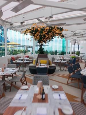 We’re soaring, flying! 🚢 Celebrity Xcel’s 7 new spaces in motion. And they’re a total vibe.