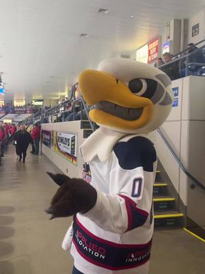 Take a walk and clear your head tonight at the Dow Event Center and watch the Spirit take on the Frontenacs for 989 Connect Night! 7:05 pm  📍Dow Event Center  #saginawspirit #ohlhockey #gameday #sammyspirit #mascot 