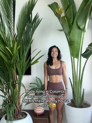 Moving to Colombia comes with a TON of different challenges… But the fact that I can go to a nursery, find plants twice my size and have it delivered straight to my apartment… pretty much makes up for all of it. Building my dream greenhouse has begun. I promise to take such good care of you 🥲🌴🫶🏼