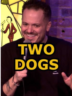 Two dogs #funny #jokes #crowdwork #standupcomedy #dogs
