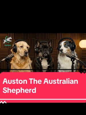 Happy National Australian Shepherd Day 🐶 