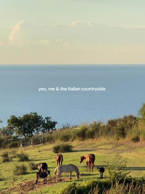 Send this to someone you would love to explore the Italian countryside with 🦋🌾✨ #italy #italytravel #italiancountryside 