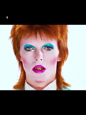 10 years since we lost our hero on 1/10/2016 ❤️‍🩹 Starman forever #davidbowie #heroes #ziggystardust #starman #davidbowietiktok 