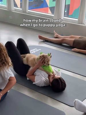 The best kind of before and after 🤍 Is your nervous system begging for a reset after the holidays? Try cuddling a Golden Retriever pup, and watch how it changes your mood ✨ Goldens will be joining us this weekend in Toronto, so trade your Sunday scaries for some puppy therapy 🐾 Tickets are going fast, so save your spot before they’re gone! 🗓️ Sat, Jan 10th & Sun, Jan 11th 📍 Sun & Glow Studios: 639 Queen St W 🔗 Get tickets at the link in our bio!  #puppies #puppytherapy #puppyyoga #goldenreteiverpuppy #MentalHealth selfcare