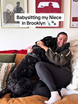 my nyc tia era looks like a lot of doggy babysitting 🤭🖤 #nycdog #dogsinnyc #dogaunt #nyclife #dogsitting @Uber @Chewy @Shop BARK @Petco @PetSmart @Away Travel @BÉIS @prxnce❤️‍🩹 