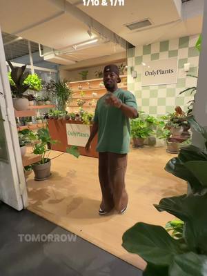 @OnlyPlants Come get a free 4” plant with any purchase this weekend for houseplant appreciation week! 🫶🏿  Sent to & tag a friend who needs a new plant! 🪴 🫶🏿 #denverplantshop #onlyplants #houseplantapreciationday 