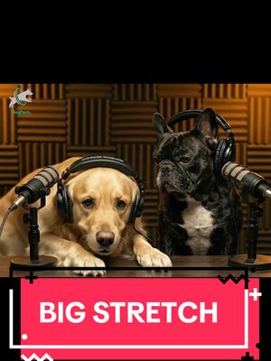Do you say BIG STRETCH?! 😂
