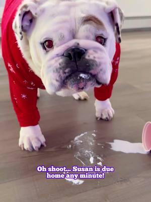 2026 goals...stress less! Let the @eufy US Omni S2 Robot Vacuum take care of the mess! With 30,000Pa Suction, Sterile Water Mopping and 99.99% Bacteria Elimination you can deep clean your home all year round!  Use my exclusive code EUFYS2VIP for an exclusive $200 off. Limited-time Offer valid! Link in bio now! #eufyomniS2  #eufyrobotvacuum  #eufyHydroJet™  #eufyAeroTurbo™ #eufyclean