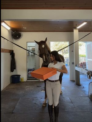 a barn unboxing! 